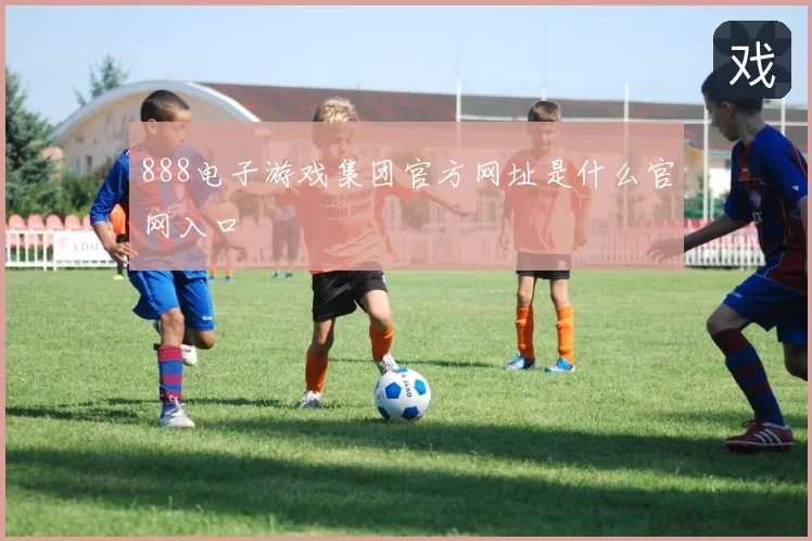 888电子游戏集团官方网址是什么官网入口